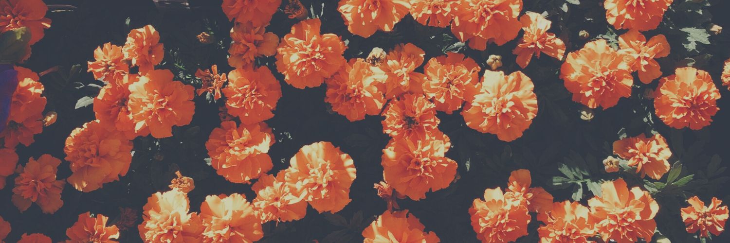 _nagigi's profile banner image