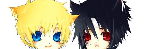 ashda531's profile banner image