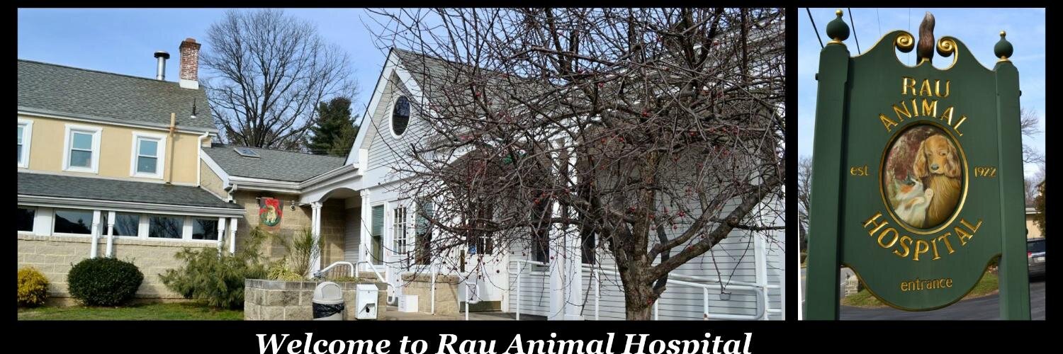 RauAnimalHosp's profile banner image