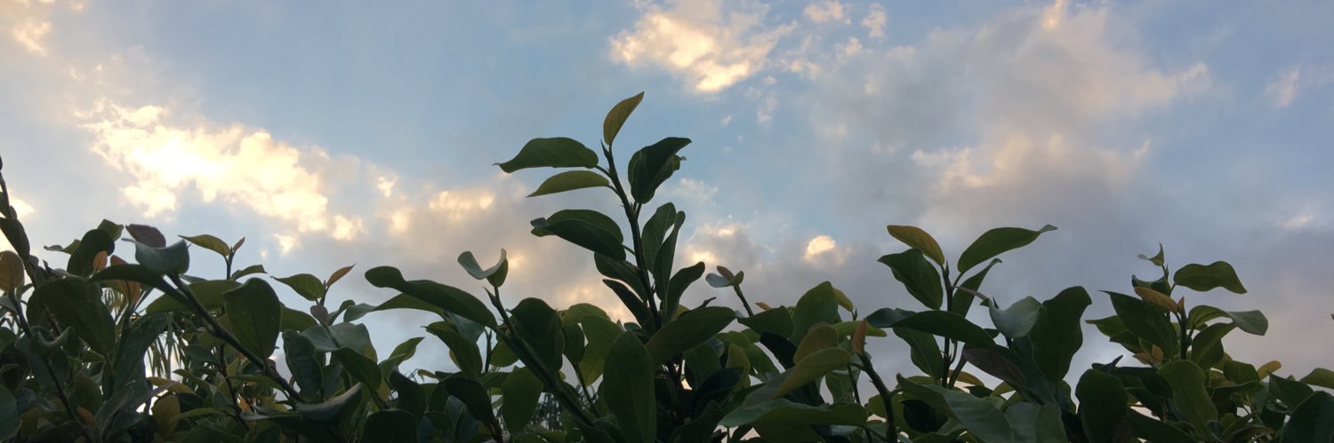 natalie_alexaa's profile banner image