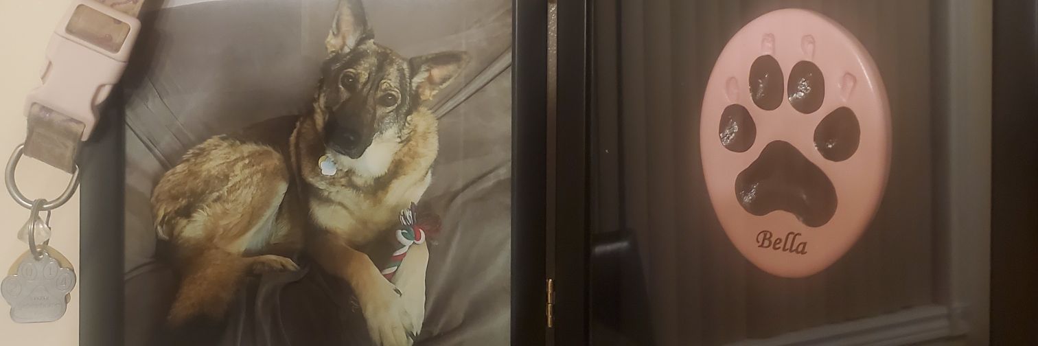 Gus banner