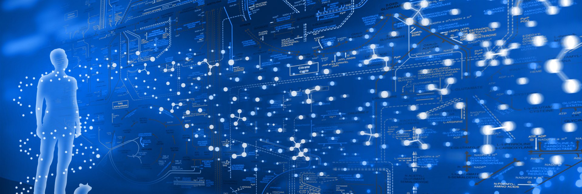 HMTMetabolomics's profile banner image