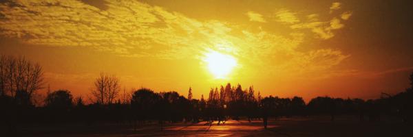 CarrRickyyy Profile Banner