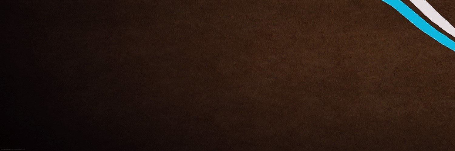Лолита Тетерева banner