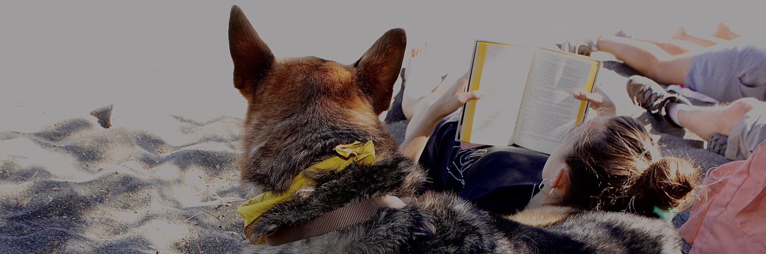 sofibarbara_'s profile banner image
