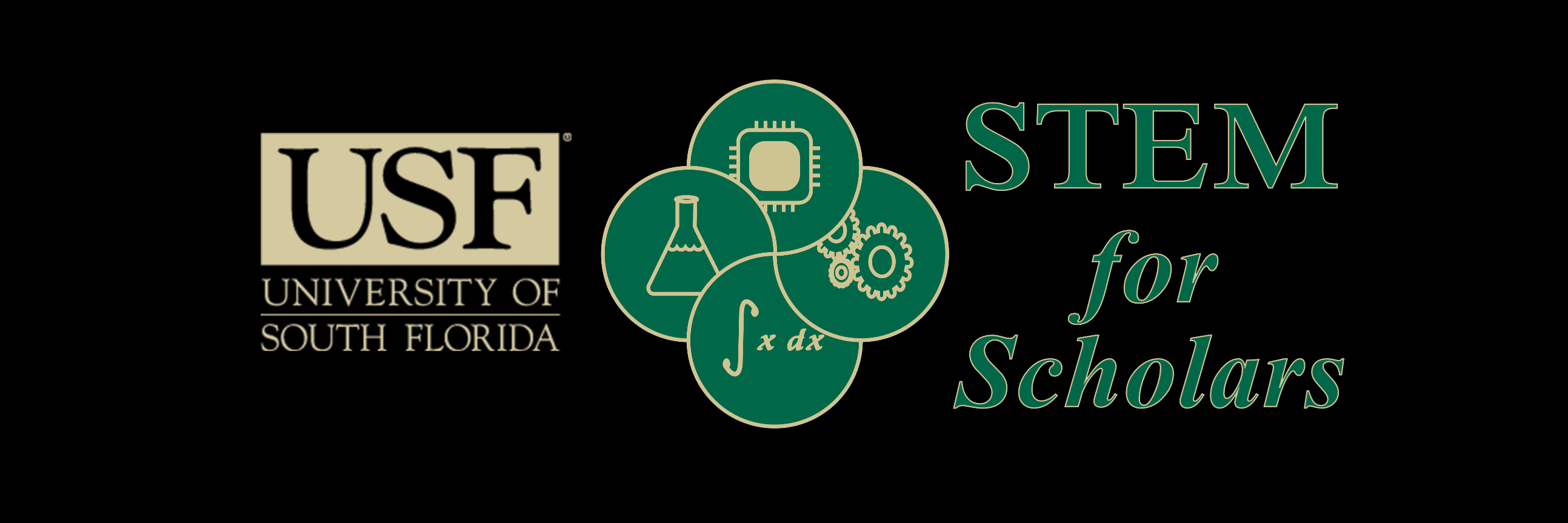 USF STEM banner