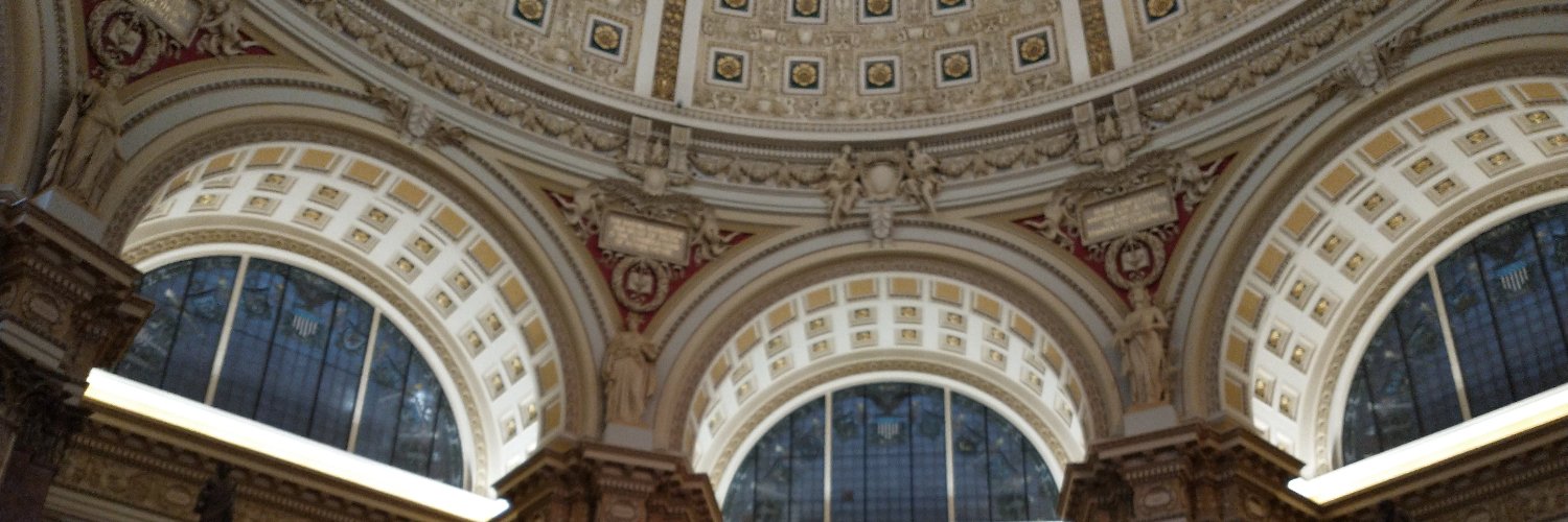 Sarah Braun, MLIS banner