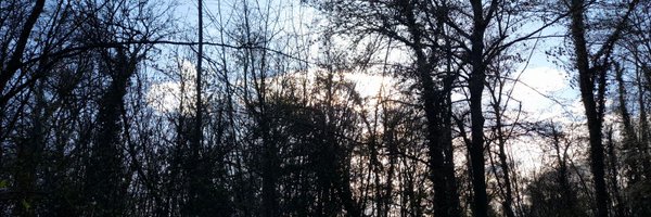 NezhaIsland Profile Banner