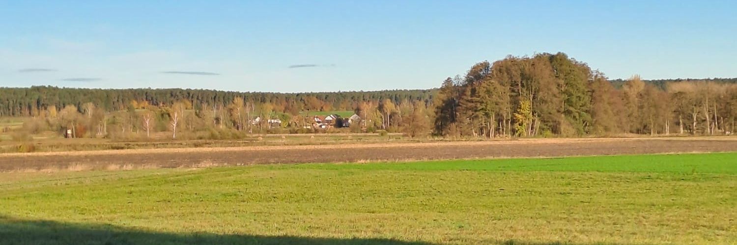 Basteldaddy's profile banner image