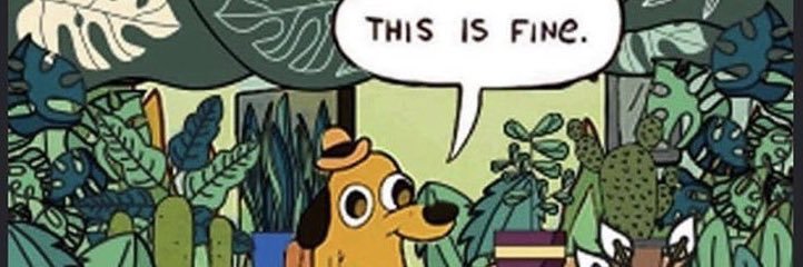 kaynelsonn's profile banner image