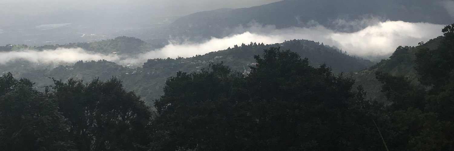 odilemukiza's profile banner image