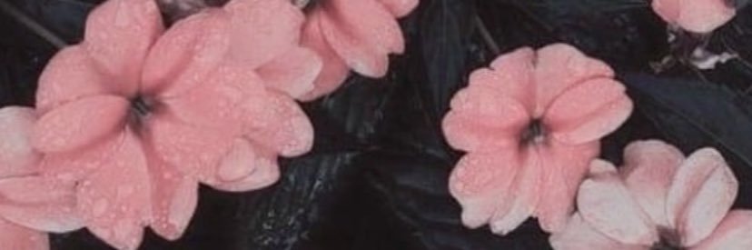 feer_jimz's profile banner image