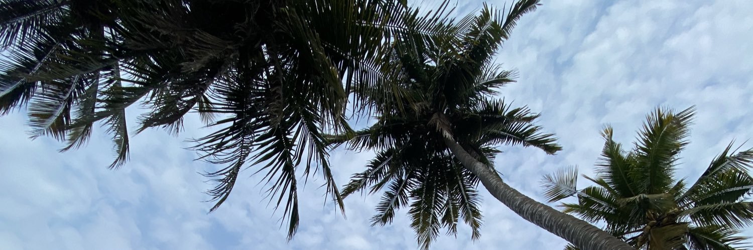 anditasss's profile banner image