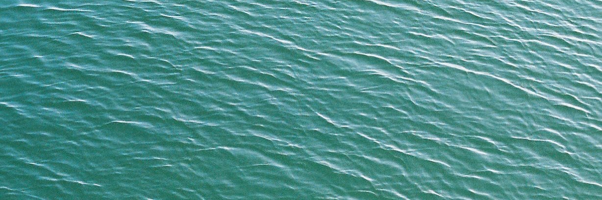 Elizabeth Beisel banner