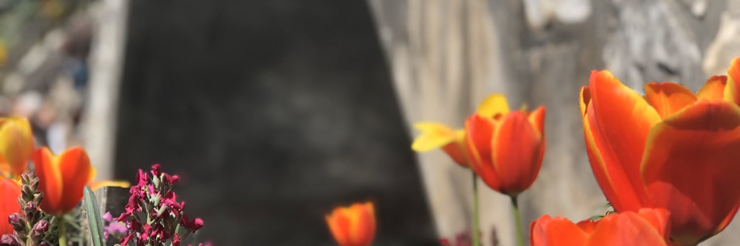 Lorenaaaa_r17's profile banner image