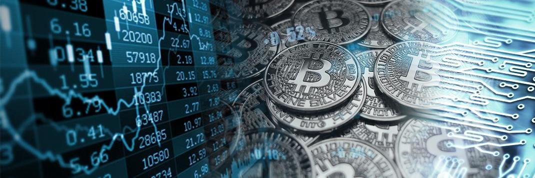 WayofCrypto's profile banner image