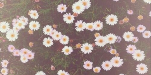 omokrys's profile banner image