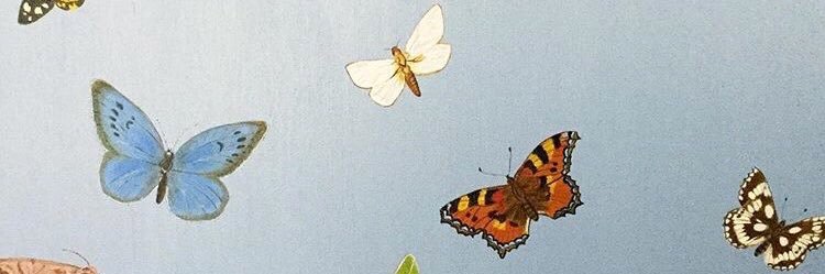 demi_monique's profile banner image