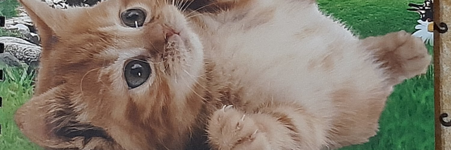 Panic_Bren's profile banner image
