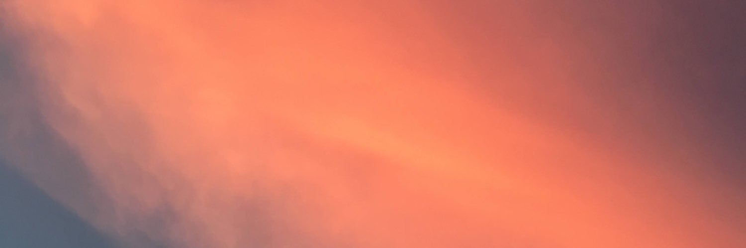 sofiamartinese's profile banner image