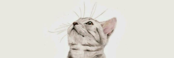 bahrul_xp's profile banner image