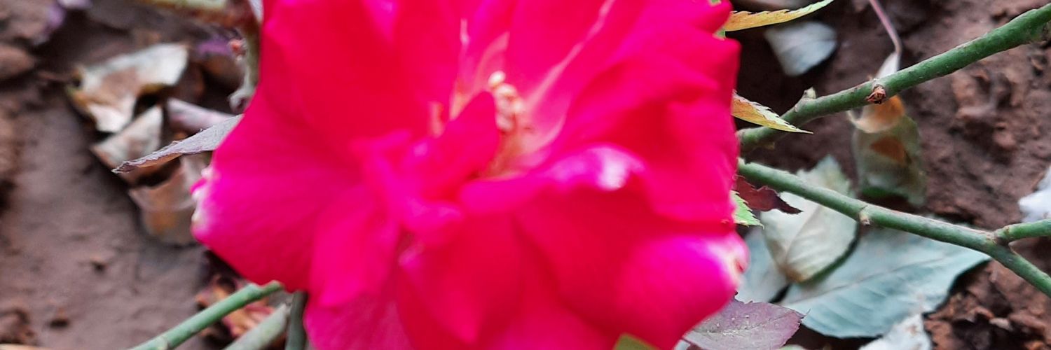 richabarhat's profile banner image