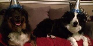 Brian Fletcher banner