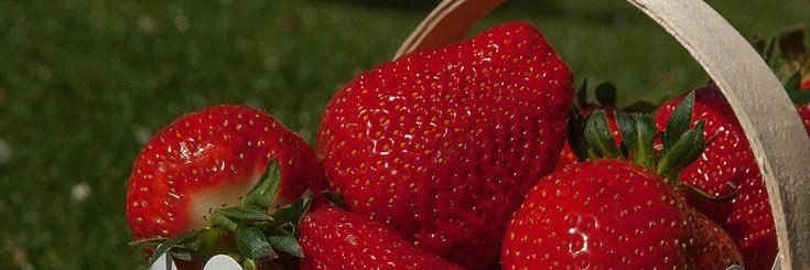 wreckervocal's profile banner image