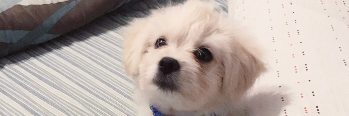 sydneeylu's profile banner image