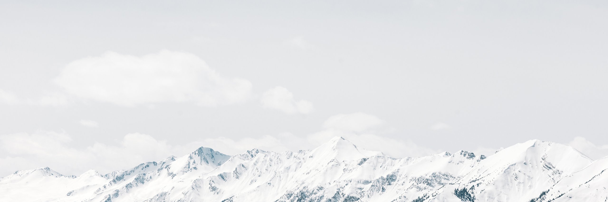 studioartico's profile banner image