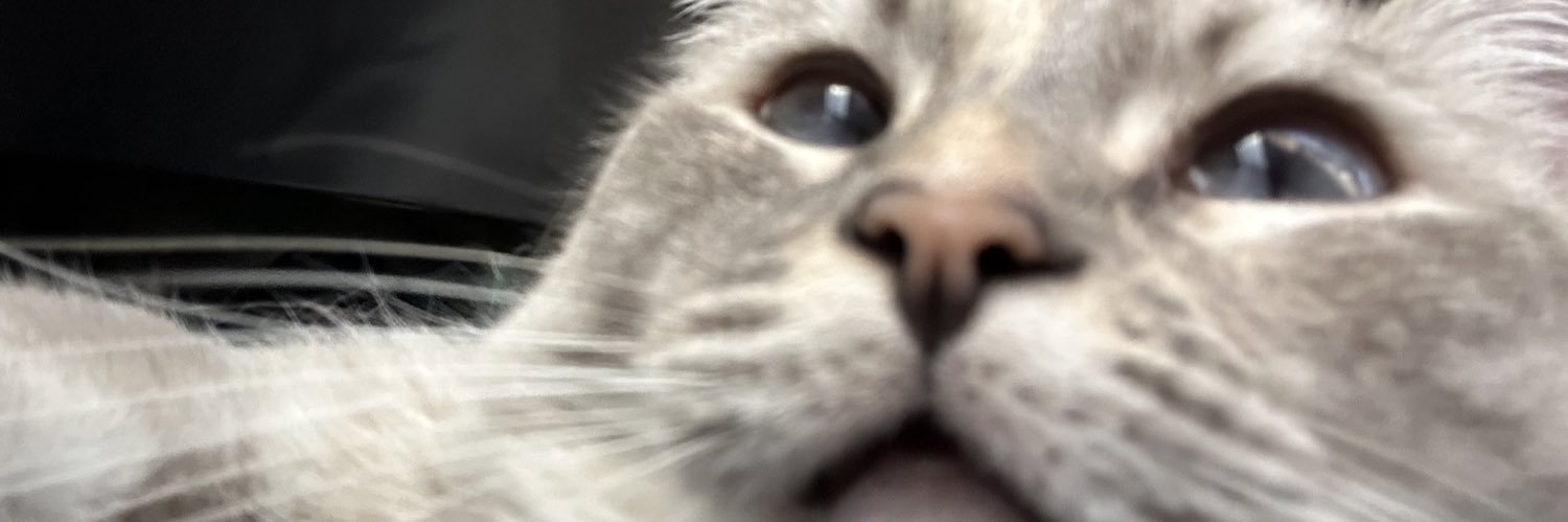 stonishyy's profile banner image