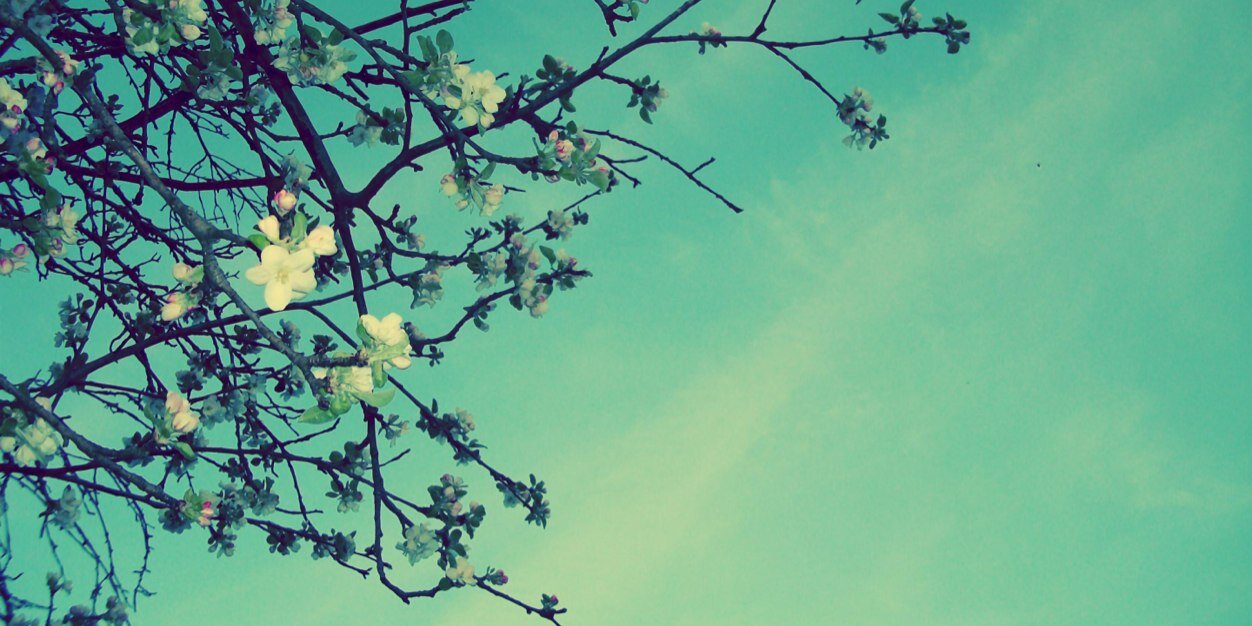 mdawson_03's profile banner image