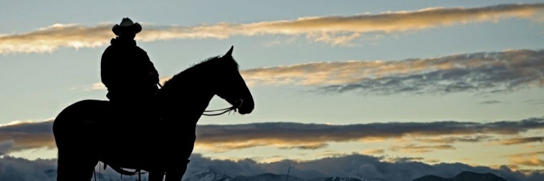 rach_c's profile banner image