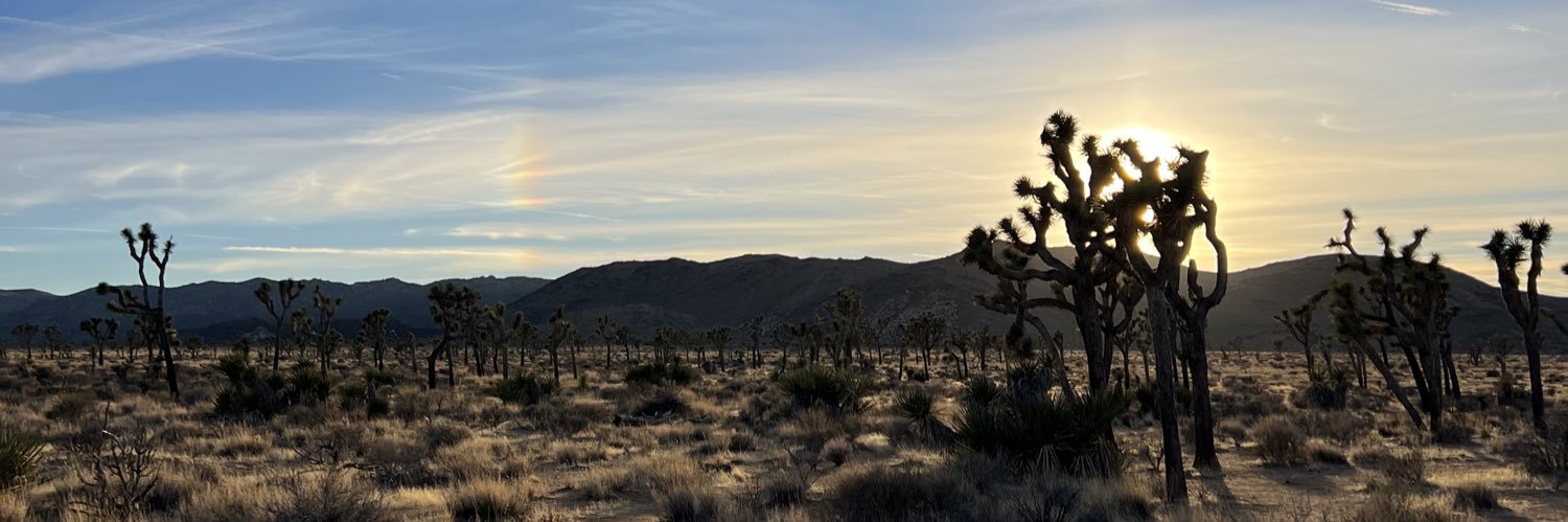 Lincoln Ruybalid banner
