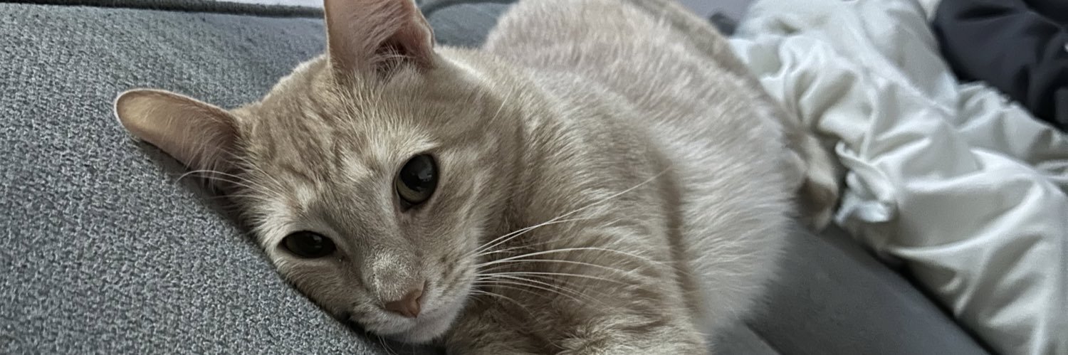 MaddySilver's profile banner image