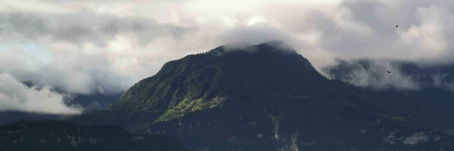 infinitista's profile banner image