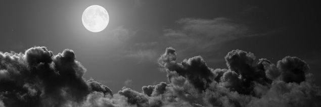 el_foncho_'s profile banner image