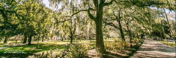 HaleyHiggs Profile Banner