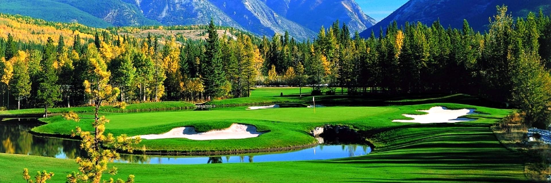 lakegolfballs's profile banner image