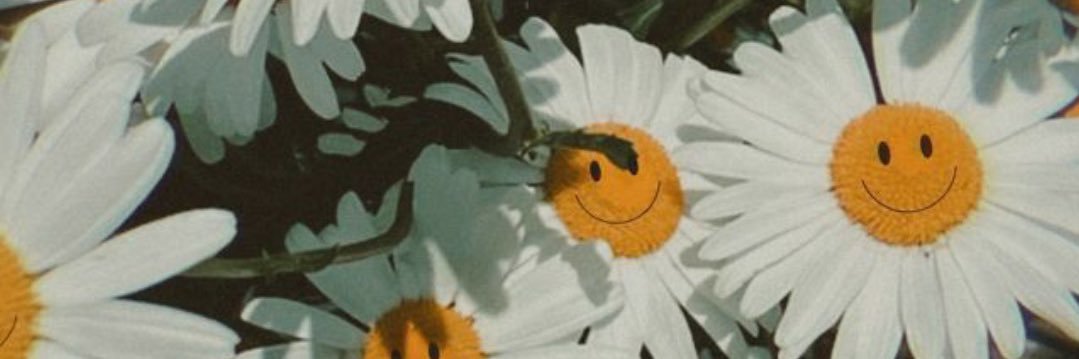Lo banner