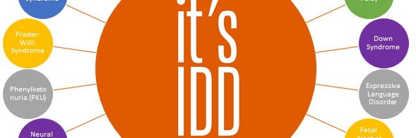 IDDCouncil's profile banner image