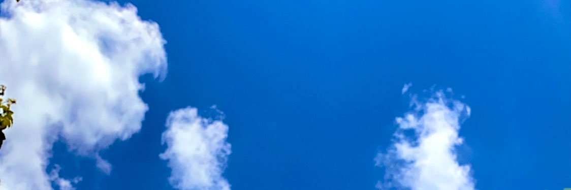 lastxiv's profile banner image