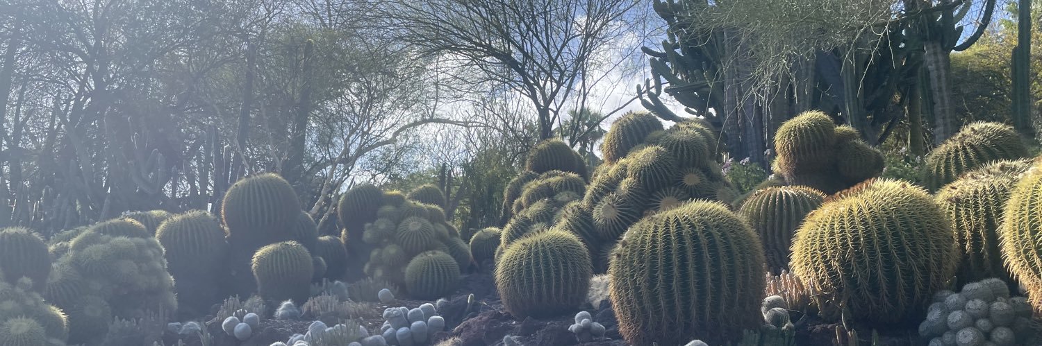 catuhleanuhh's profile banner image