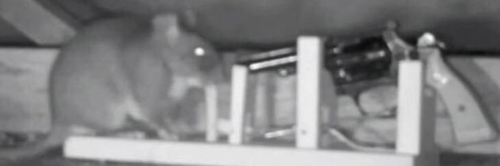 DankWeeab0's profile banner image