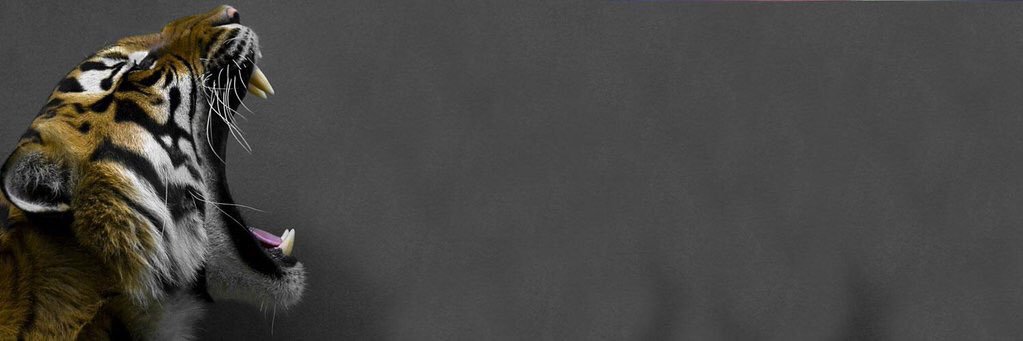 chory__17's profile banner image