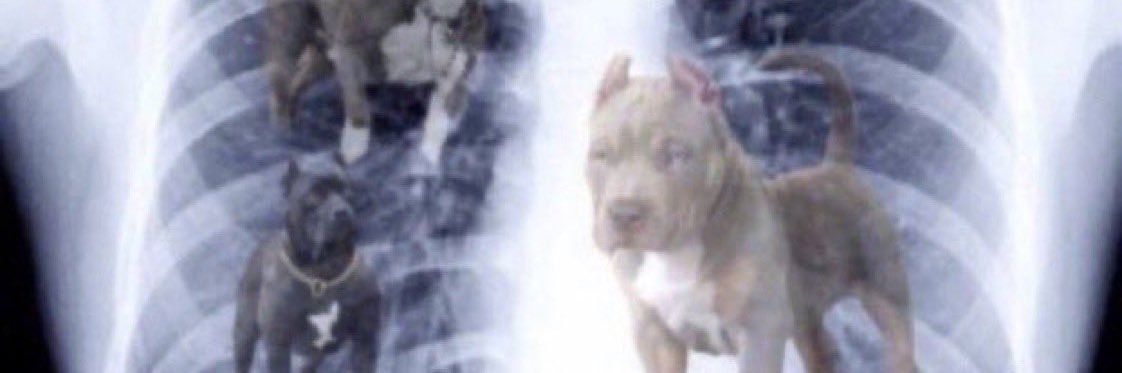 rugthrow's profile banner image