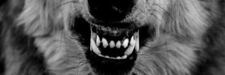 1ChrisComer's profile banner image