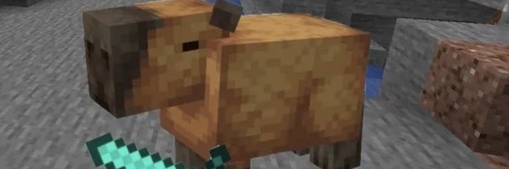 talkingsalmon's profile banner image