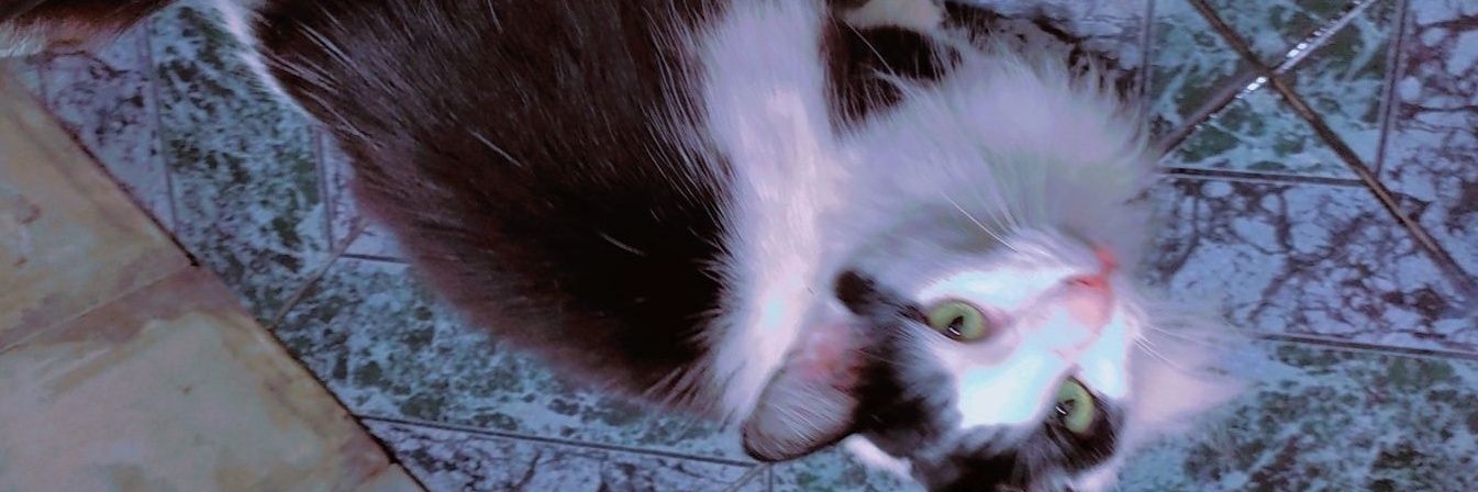 Caah_g98's profile banner image