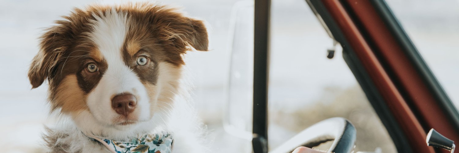 Jordan Winkler, PhD banner